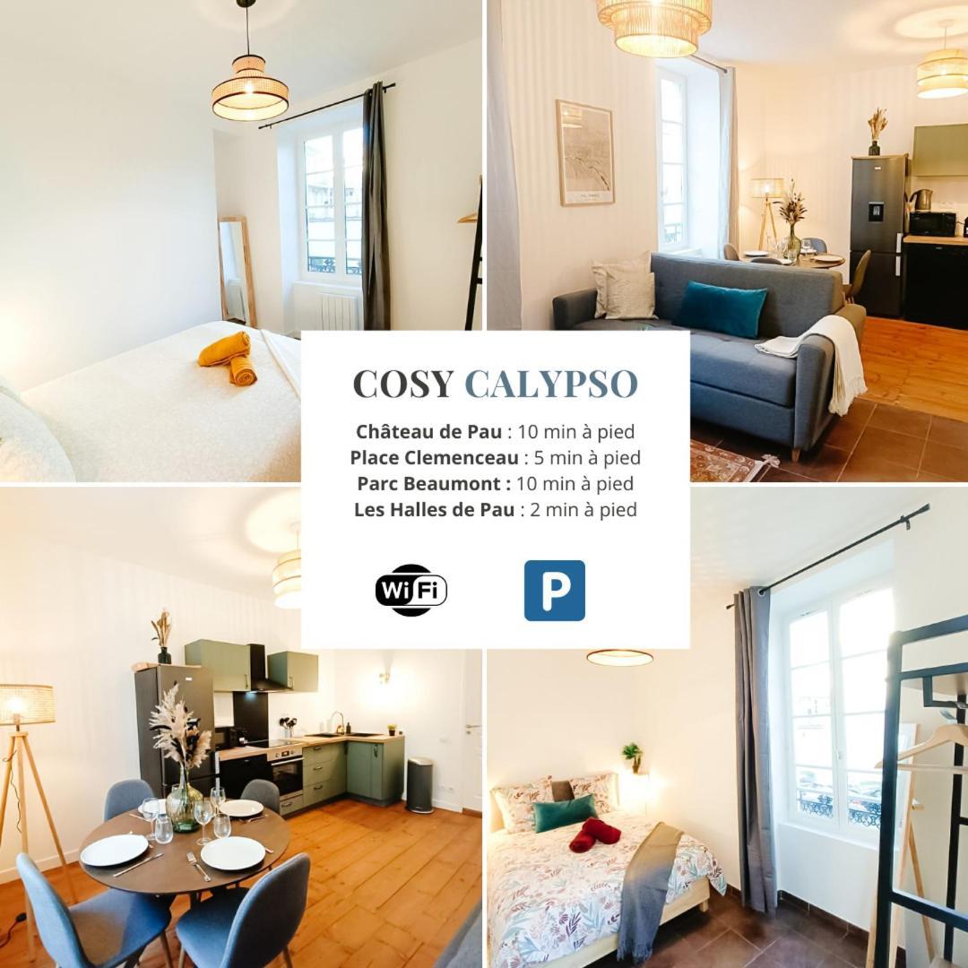 Cosy Calypso 2Ch - Quartier Des Halles & Parking Pau Kültér fotó